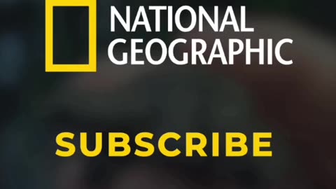 National Geography funny video