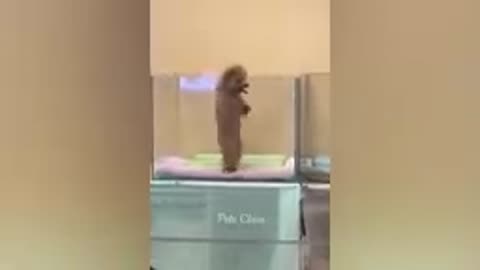 OMG!#!🤣