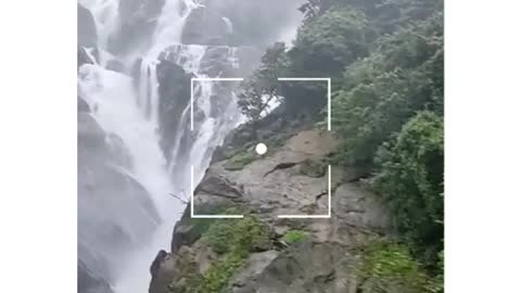 Feel the music| nature video|waterfall video |video