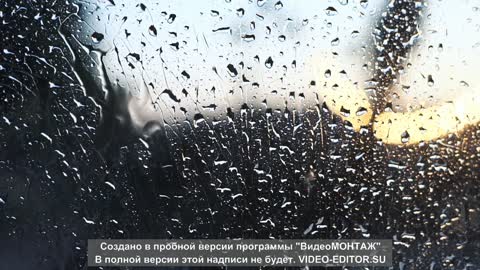 Rain