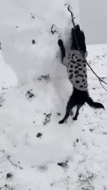 He wants to play too much