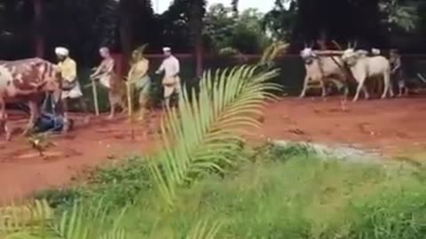 गाव आहे तिथे मी राहतो