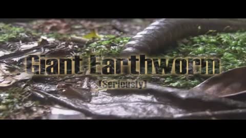 Giant Earthworm_Cut
