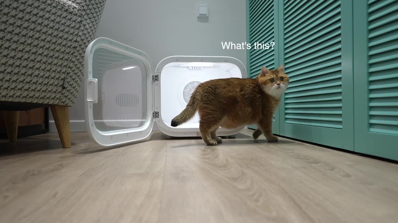 New Pet Dryer for Hosico - PETKIT AirSalon Max