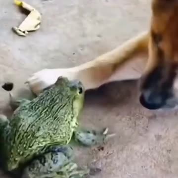 Well, a very friendly acquaintance