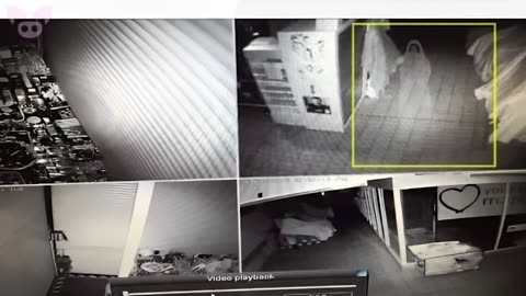 Freaky Sightings Caught on Camera That'll Mess You Up