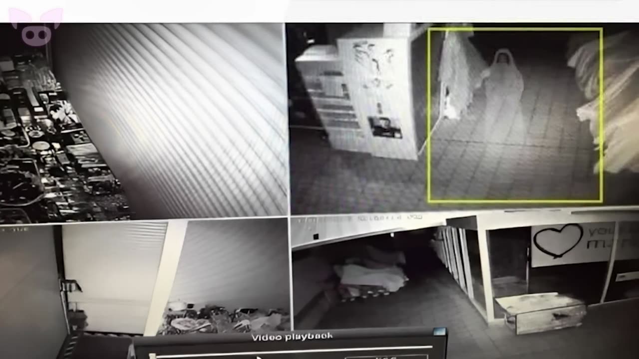Freaky Sightings Caught on Camera That'll Mess You Up