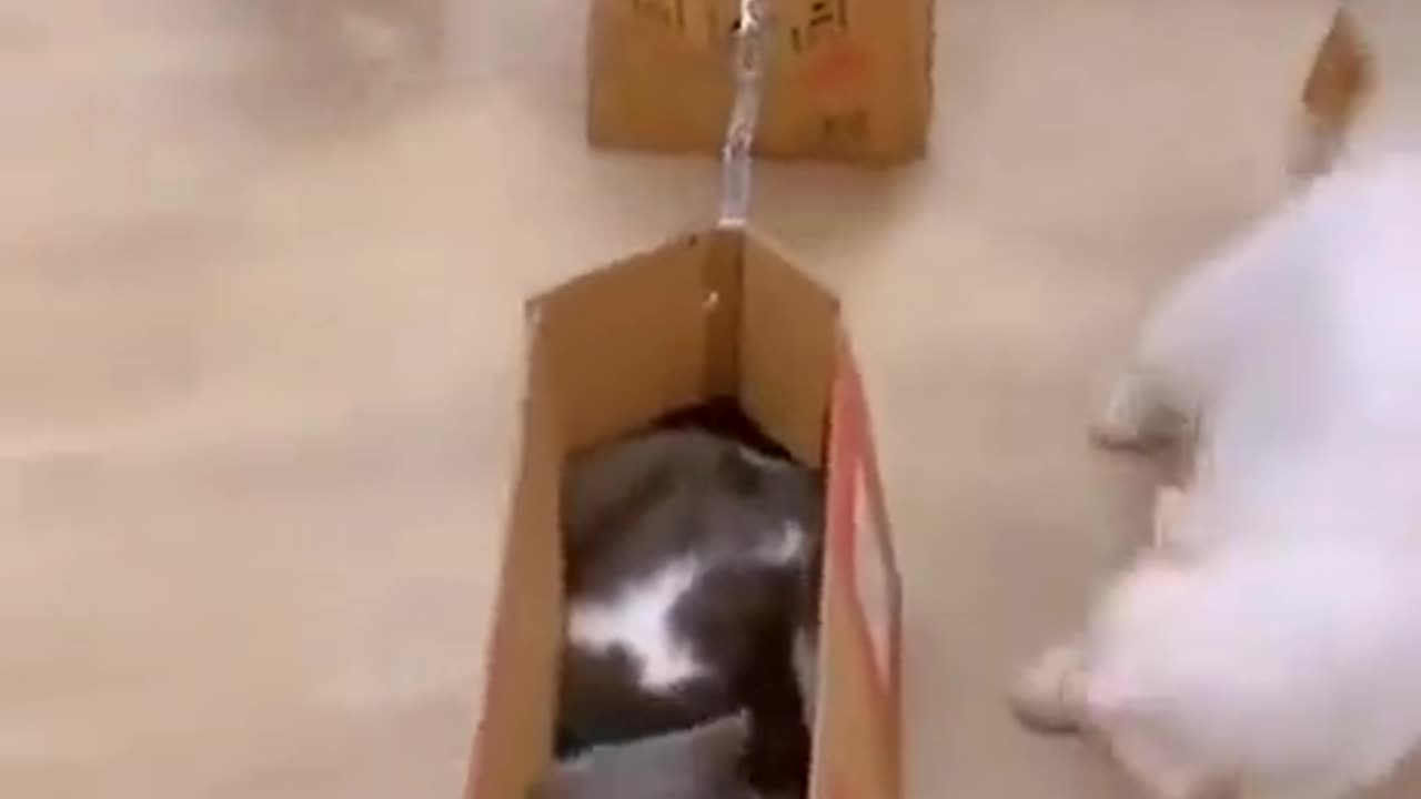 TRY NOT TO LAUGH 😆 Best Funny Videos Compilation 😂😁😆