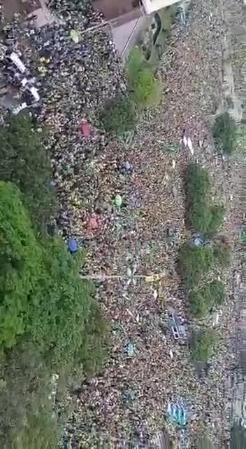 Bolsonaro’s supporters ask the military to intervene