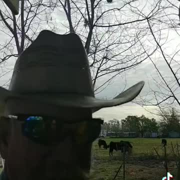 Criminal Politicians Steal Taxpayer Money To Fund Illegal Activities