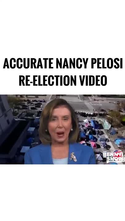 Nasty Piglosi's Re-election Run Announcement