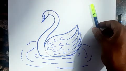 Easy Swan Drawing // Easy Drawing