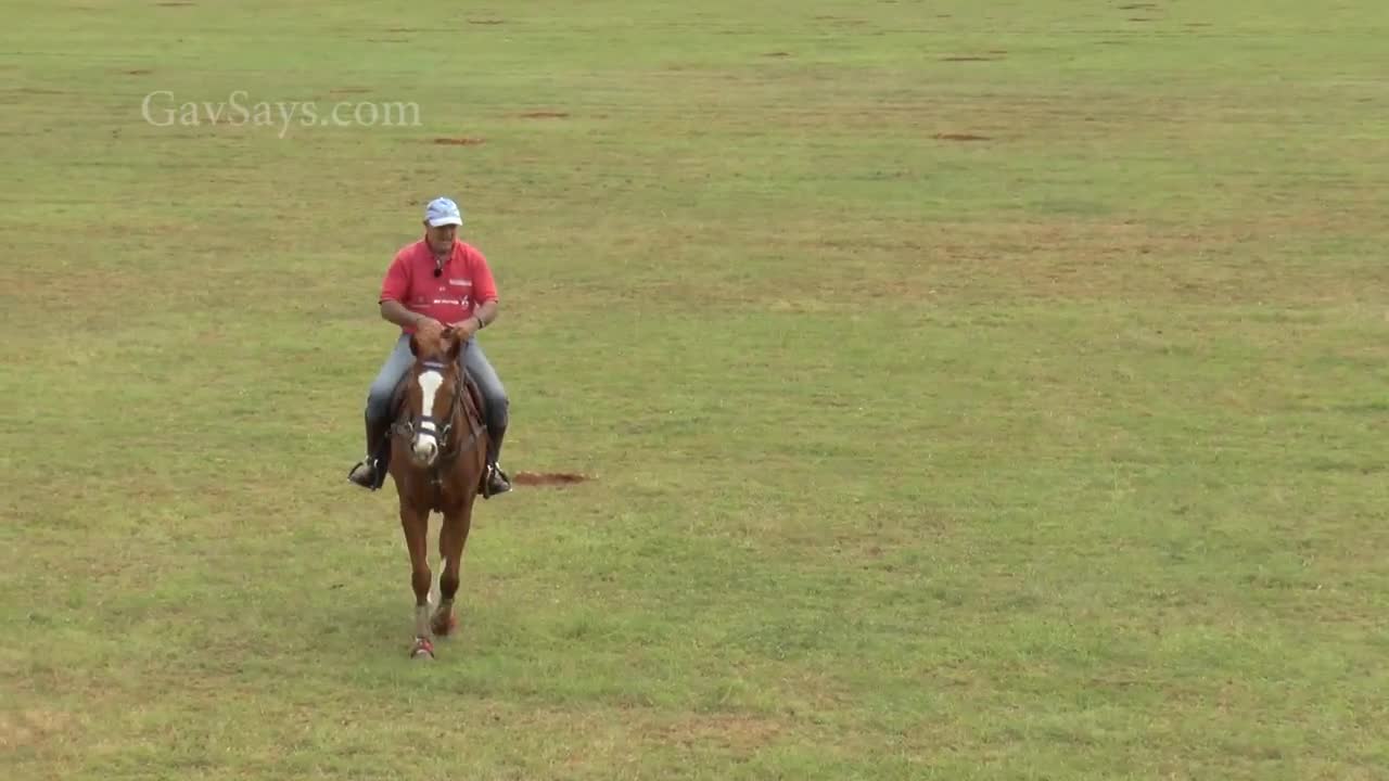 teaching a horse riding instructor