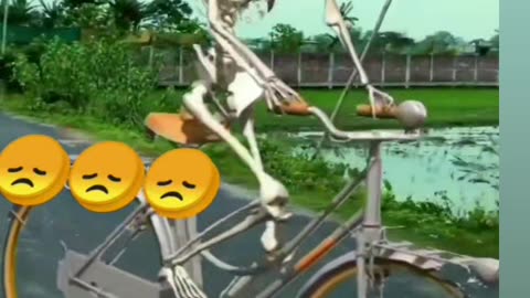 Funny videos