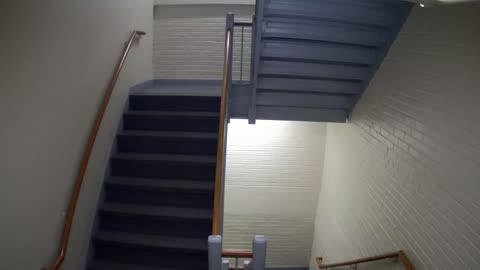 3881FHOB03Stair6_2021-01-05_03h20min00s297ms.mp4