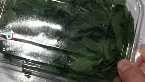 Making a fresh cocktail 🍹 with menthol and lime 🤙🤤