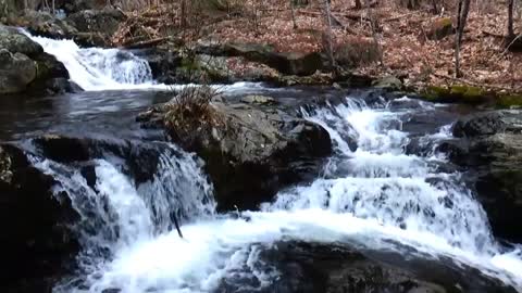 Twin Falls