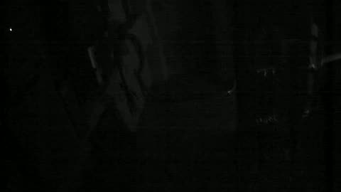 3143RHOBG4-15Treehouse_2021-01-05_00h00min01s407ms.mp4