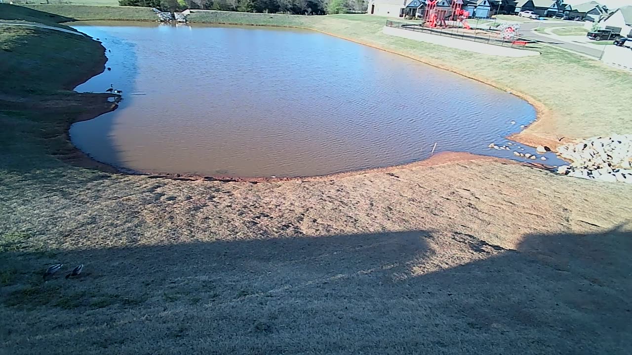 The Pond
