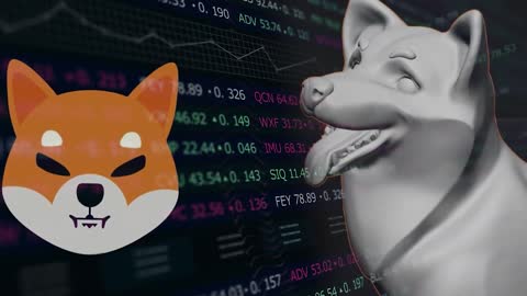 WHAT SHIBA INU COIN WILL 20,000,000 BE WORTH IN 2025? (SHIB)