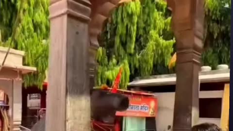 Mahadev most powerful