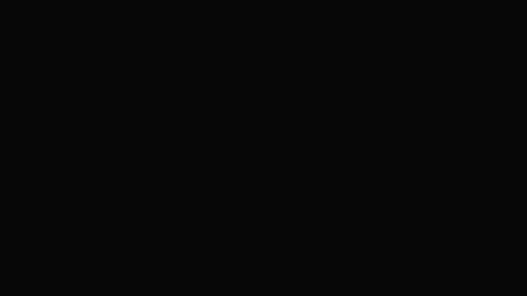 2901LHOB01XrayMainEntrance_2021-01-05_01h00min00s573ms.mp4