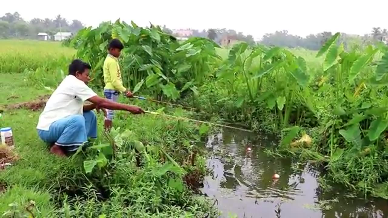 Fishing Village Caught Big Fish