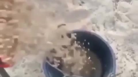 food is more important