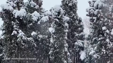 Northern Colorado drivers urged to stay off the roads