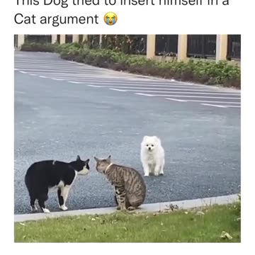 Àm just wanted to play😭