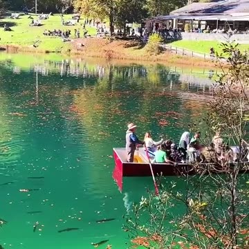 Enjoy this amazing view استمتع بهذا المنظر الرائع