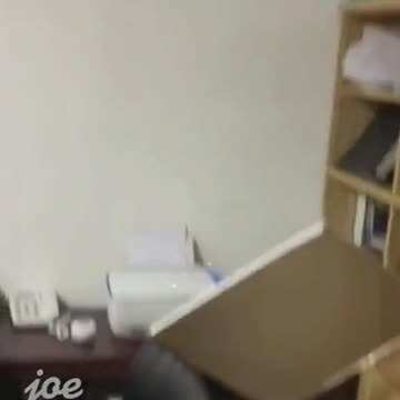 cat and dog funny vedios