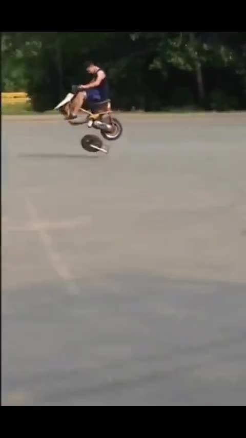 Laugh Out Loud: Hilarious Videos Guaranteed To Make Your Day! | Most Funny Videos