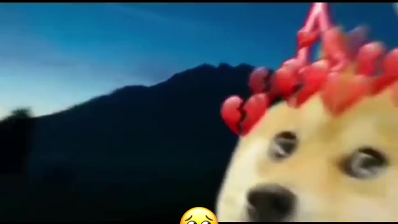 Why ðŸ˜