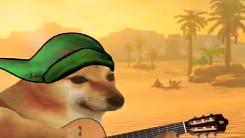 Guitar dogo