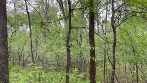 Bob Sandlin State Park in Texas