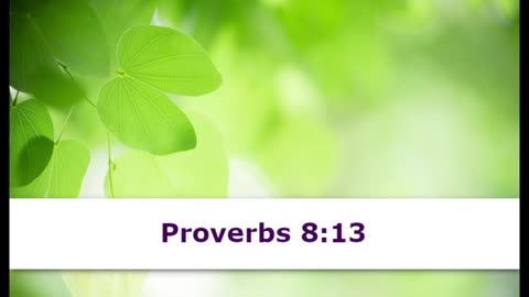 1 Minute -- Proverbs 8 Devotional -- May 8, 2023