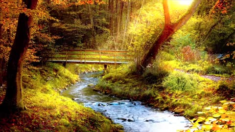 Nature Landscape Creek Bridge Autumn Leav