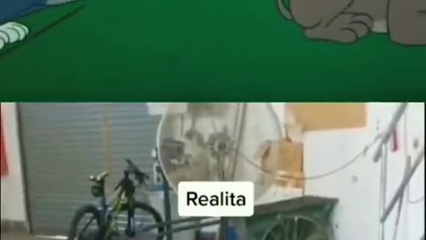 Animation vs reality