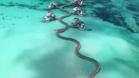 Maldives