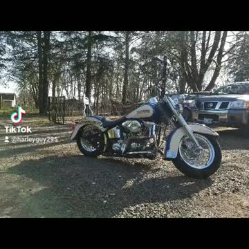 Harley cholo softail