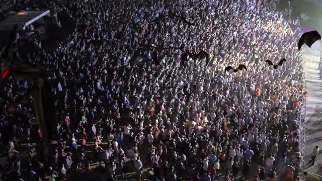 Eduard Glumov - Bat Dance