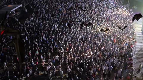 Eduard Glumov - Bat Dance