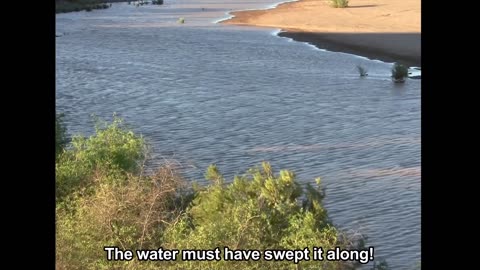 SUBMARINE WASHES AWAY IN FLOOD. Have you seen it?