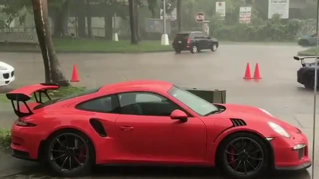 Red in the rain