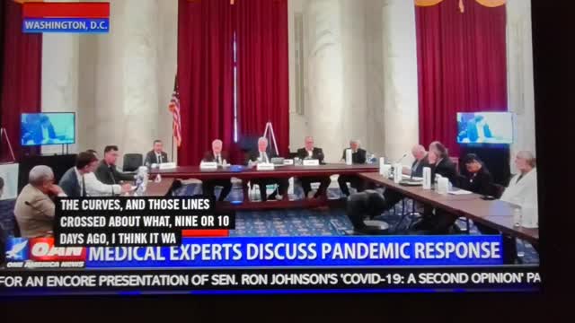 Senator Ron Johnson Second Opinion Panel