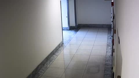 6102RHOBGRSECorridornearStair8_2021-01-05_00h40min00s637ms.mp4