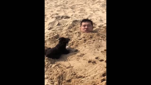 Funny moments Animals Part 5