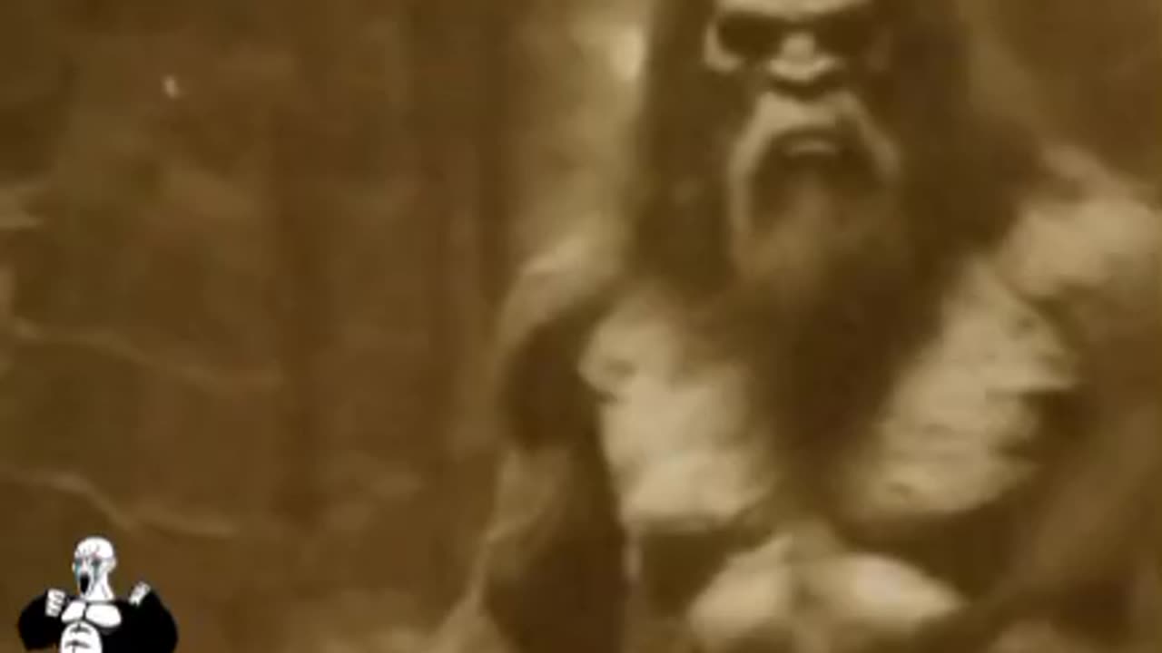 RARE BIGFOOT FOOTAGE