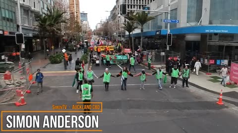 'March for Nature' demonstration. Auckland CBD, 8/vi 2024.